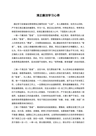 清正廉洁学习心得