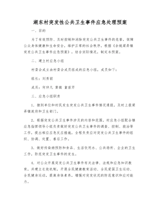 湖东村突发性公共卫生事件应急处理预案