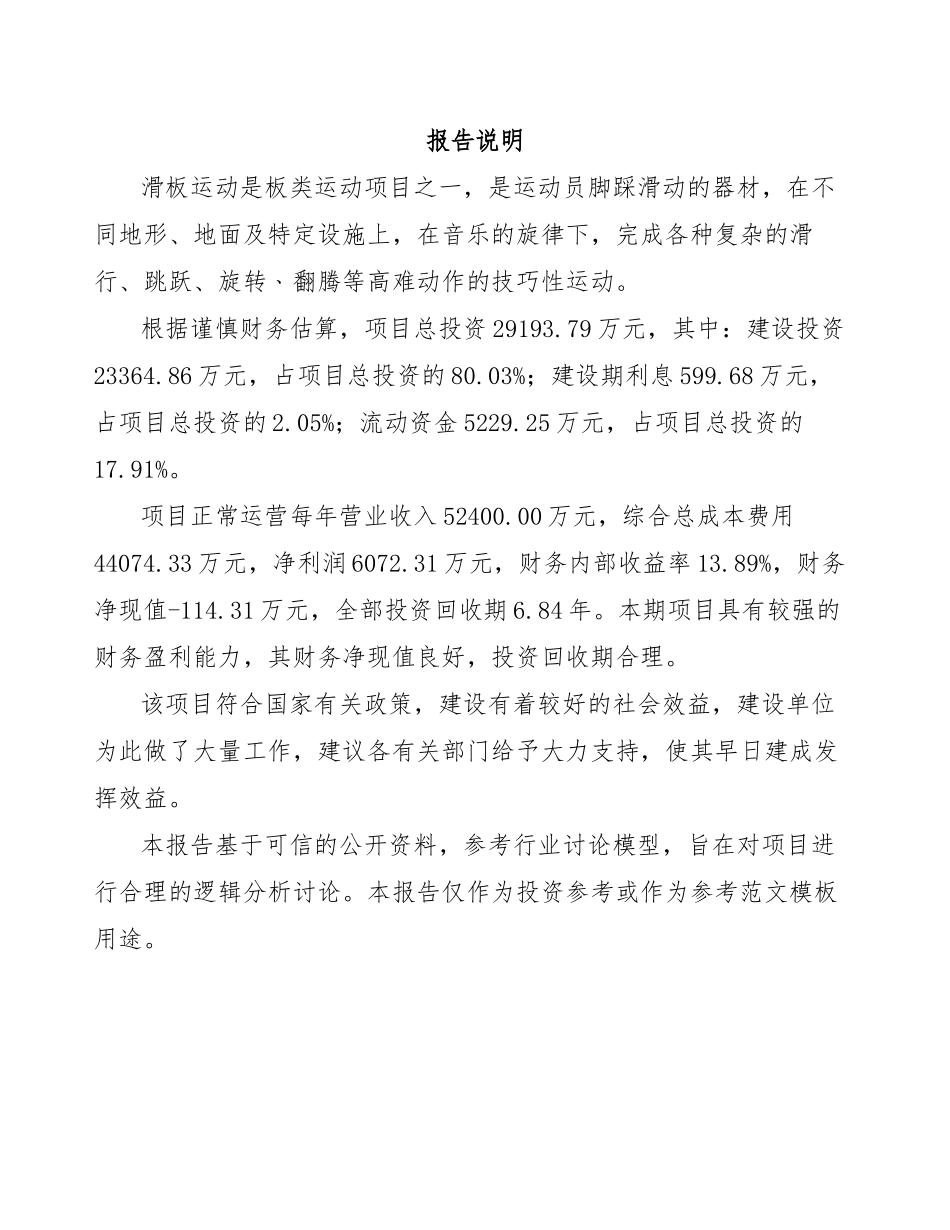 滑板项目策划方案_第2页