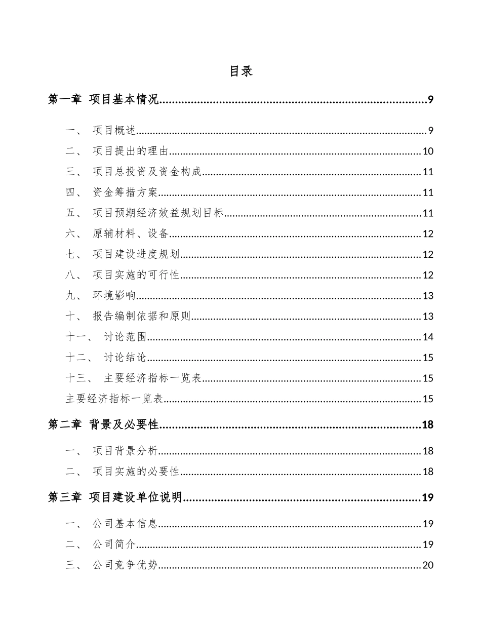 滑板项目策划方案_第3页