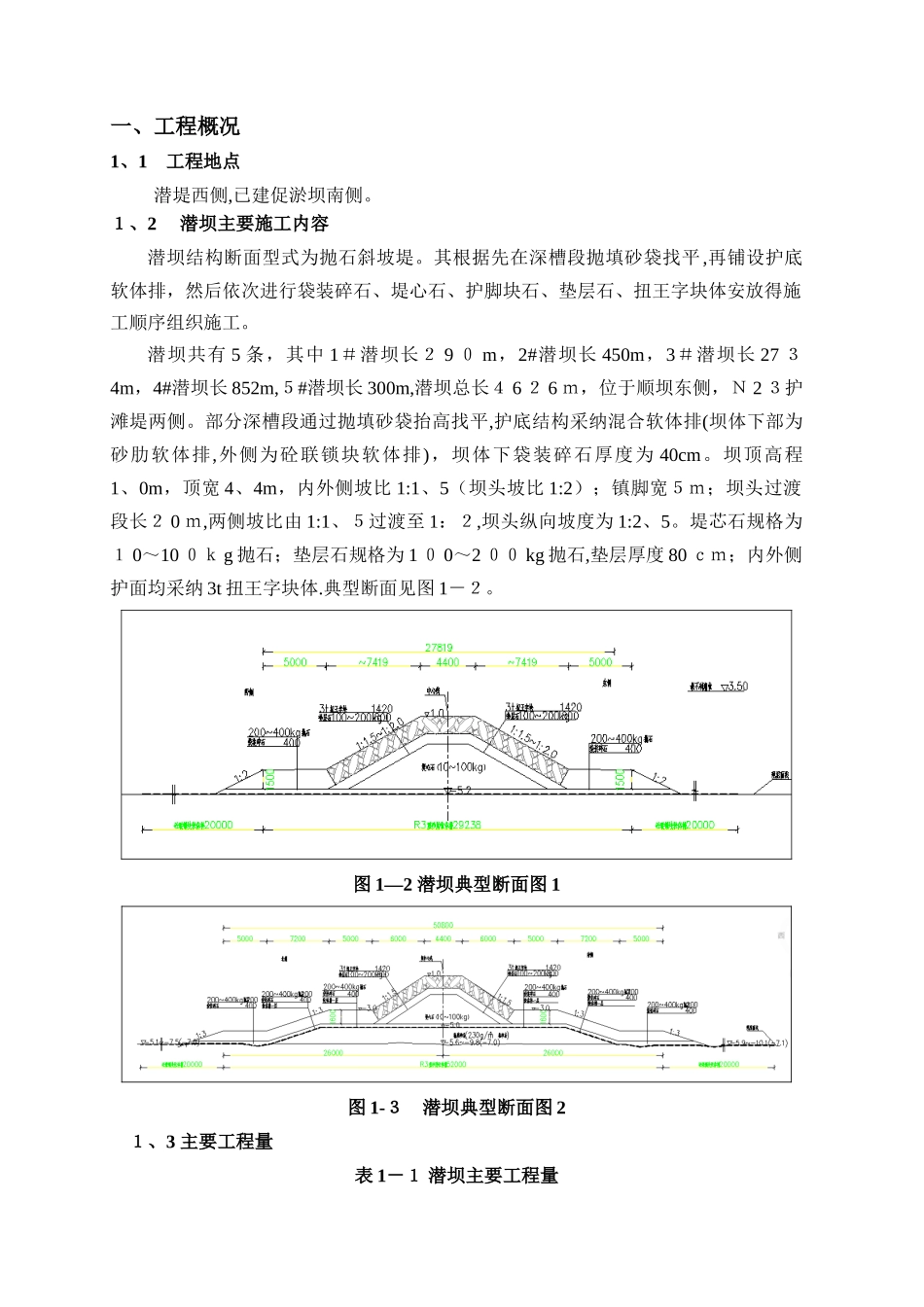 潜坝工程施工方案_第3页