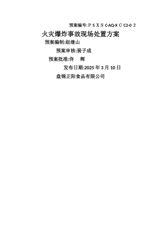 火灾爆炸事故现场处置方案 