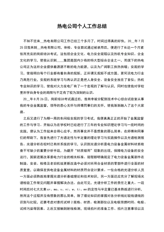 热电公司个人工作总结