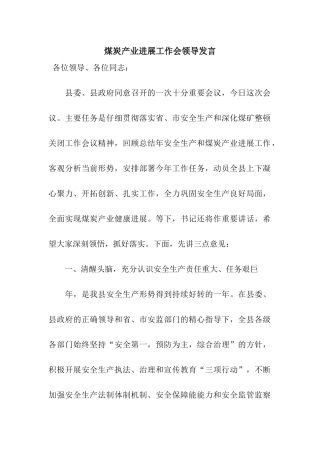 煤炭产业发展工作会领导发言