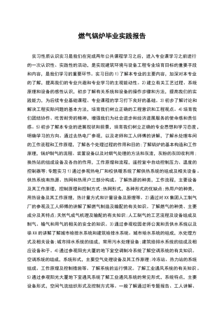 燃气锅炉毕业实践报告