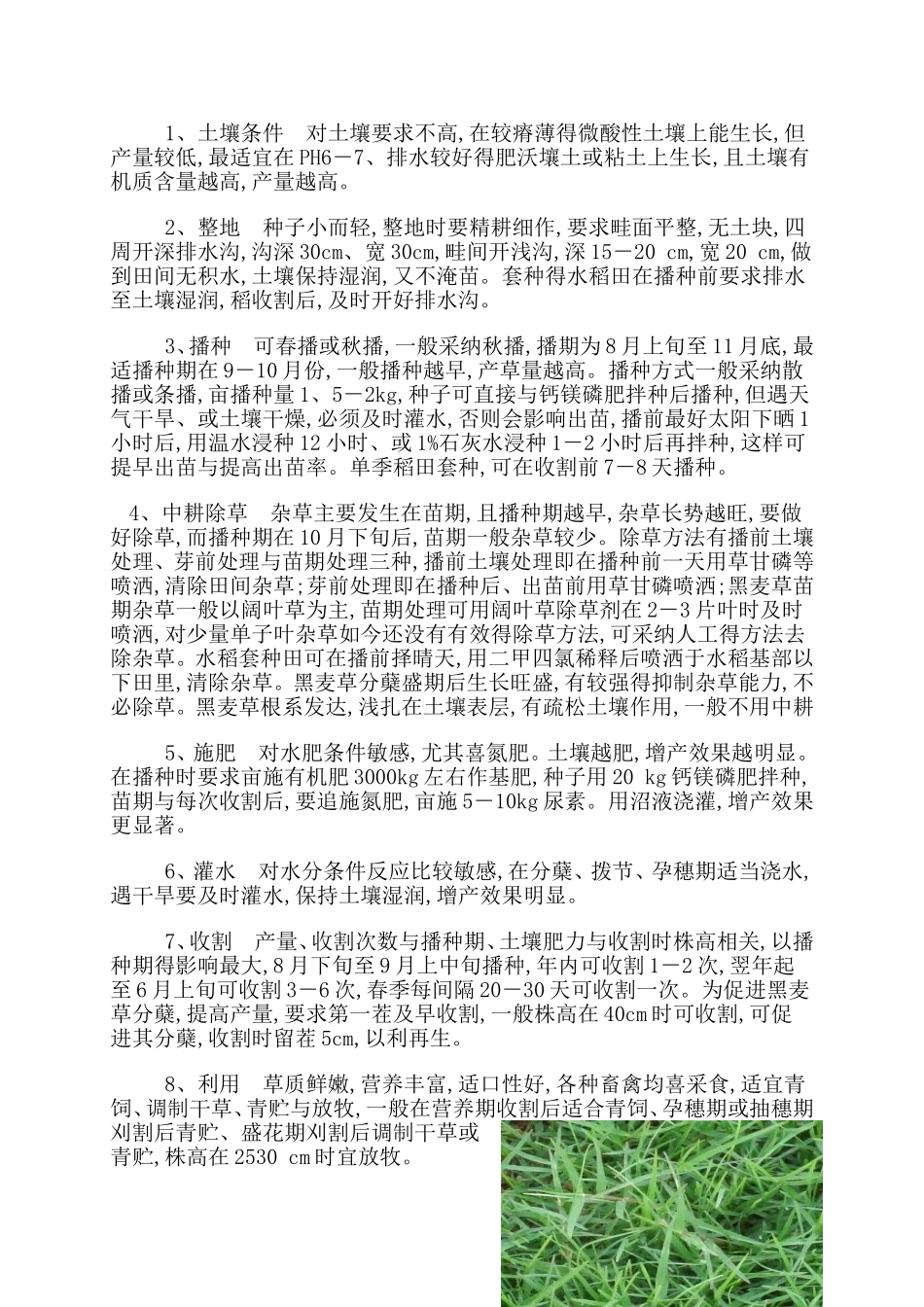 牧草种植技术_第2页