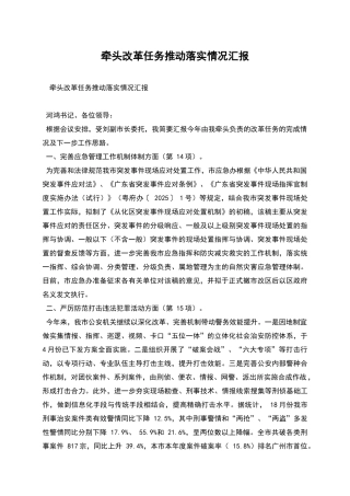 牵头改革任务推进落实情况汇报