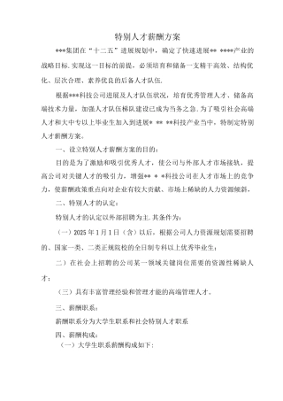特殊人才薪酬方案