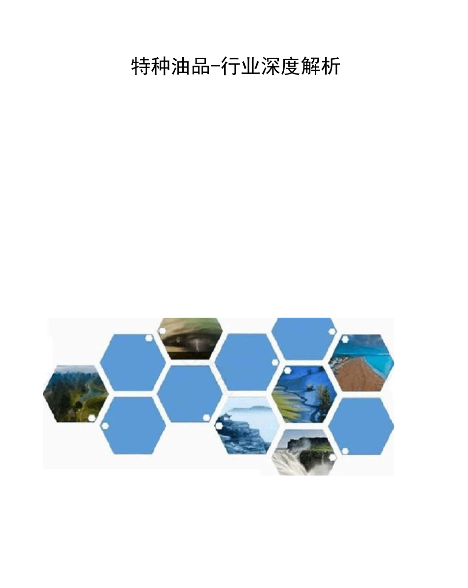 特种油品行业深度解析_第1页