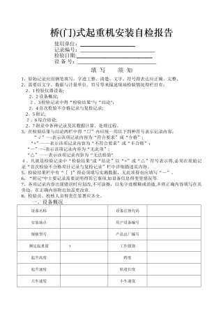 特种设备自检报告