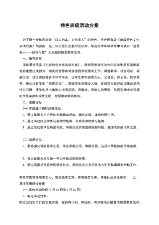 特色班级活动方案