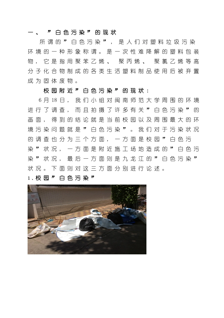 环境法调研报告作业样本_第2页