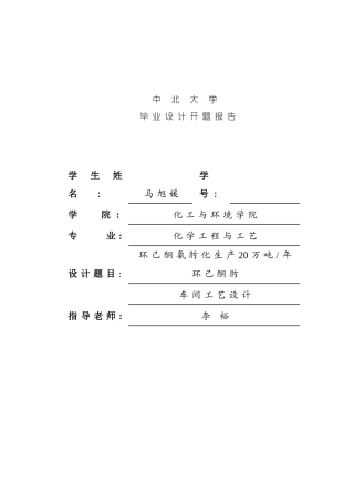 环己酮氨肟化生产20万吨年环己酮肟车间工艺设计样本