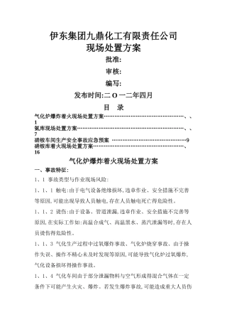 现场处置方案汇总