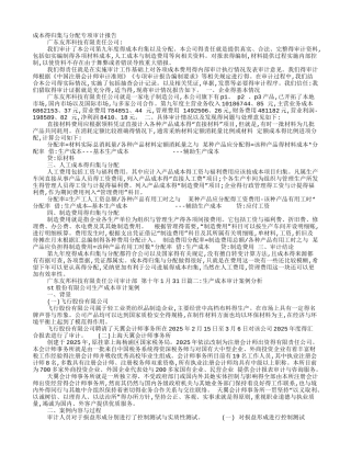 生产成本审计报告