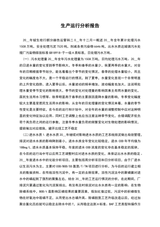 生产运行分析报告