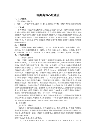 生理学实验报告-蛙心灌流 