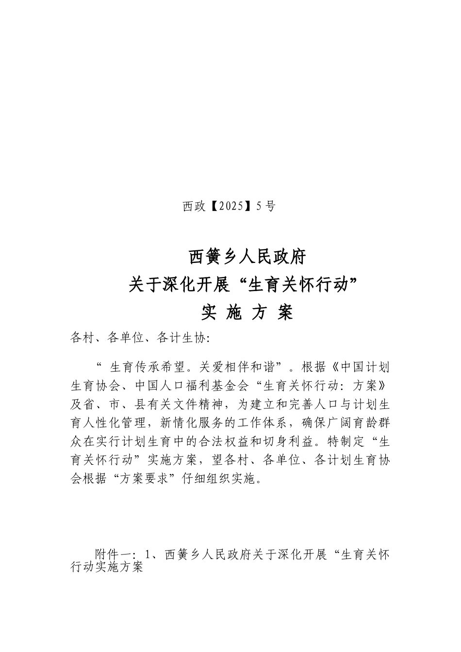 生育关怀行动实施方案_第1页