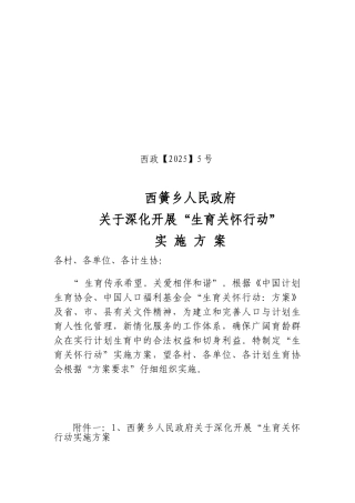 生育关怀行动实施方案