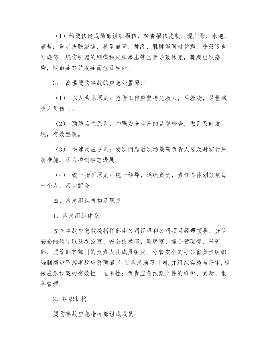 甲醇厂维修车间烫伤事故应急预案_第2页