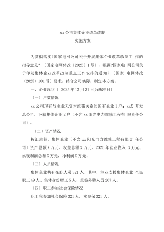 电力公司集体企业改革改制方案