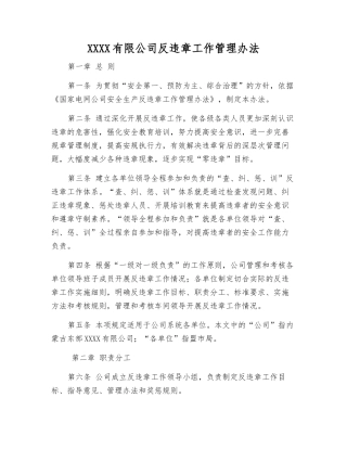 电力有限公司反违章工作管理办法