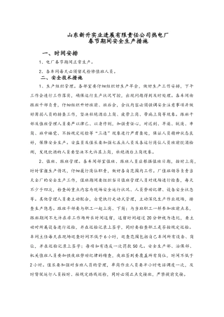 电厂春节期间安全措施资料
