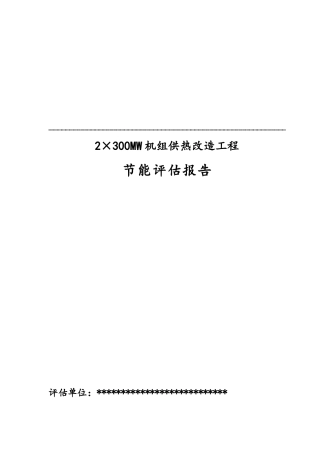 电厂节能评估报告