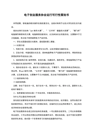 电子创业服务协会运行可行性策划书