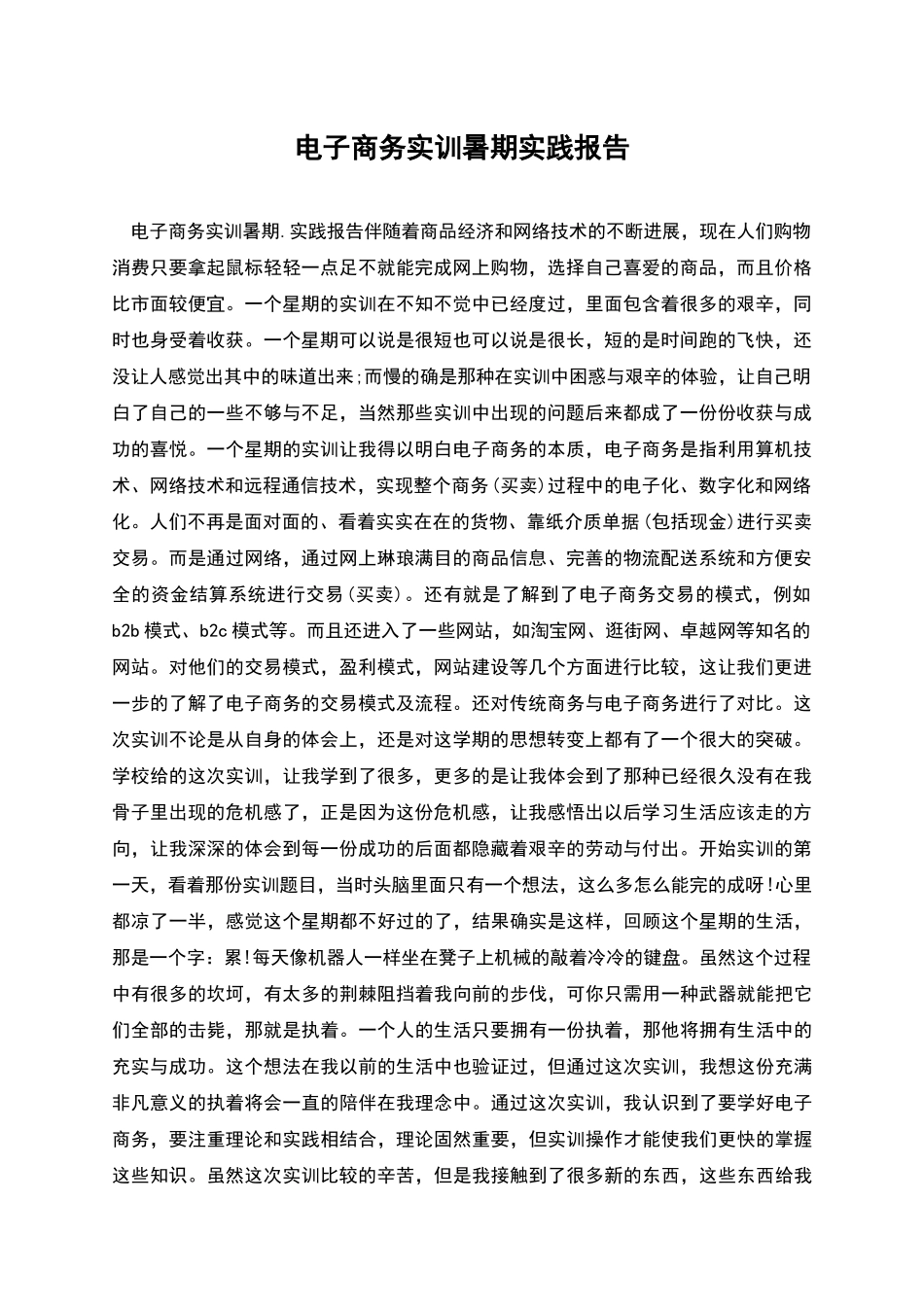 电子商务实训暑期实践报告_第1页