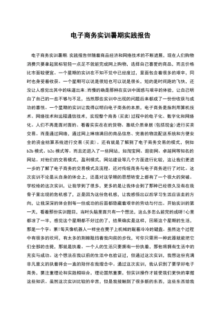 电子商务实训暑期实践报告