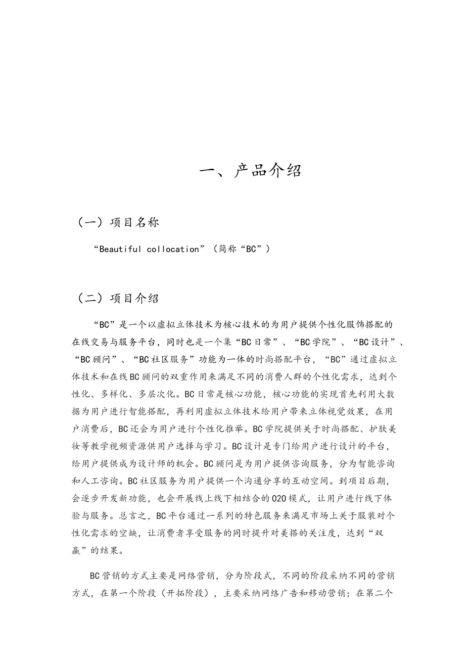 电子商务策划书_第2页