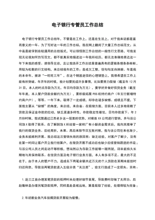 电子银行专管员工作总结