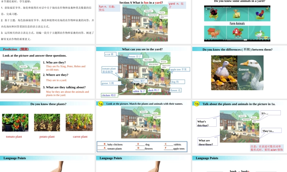 25秋新人教版七年级英语上册-Starter Unit 3 课时1 Section A（1a-2d）课件