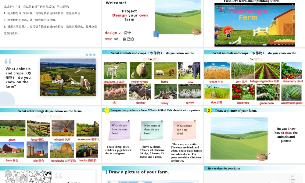 25秋新人教版七年级英语上册-Starter Unit 3 课时4 Project课件