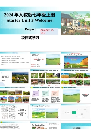 25秋新人教版七年级英语上册-Starter Unit 3 课时4 Project课件