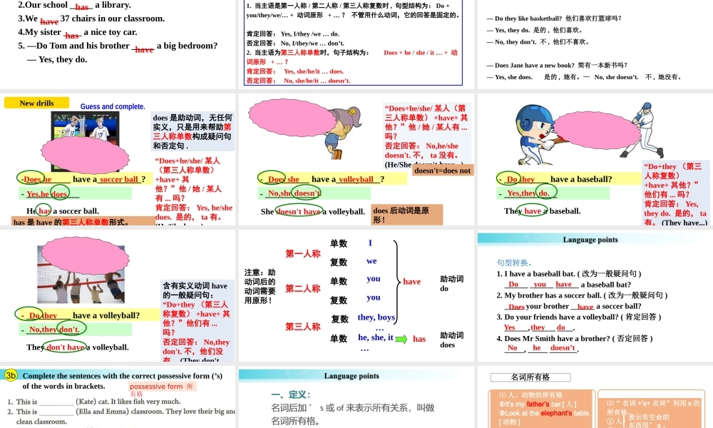 25秋新人教版七年级英语上册-Unit 2 课时3 Section A（Grammar Focus）课件