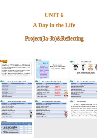 25秋新人教版七年级英语上册Unit 6 A Day in the Life 课时5 Project(3a-3b)&Reflecting课件-