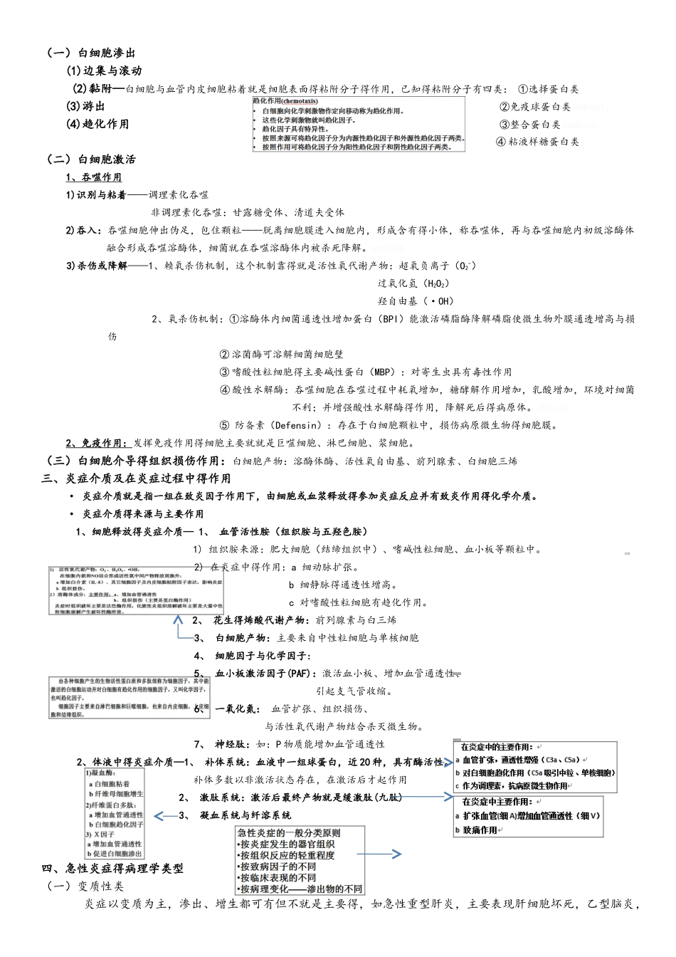 病理学第四章炎症_第2页