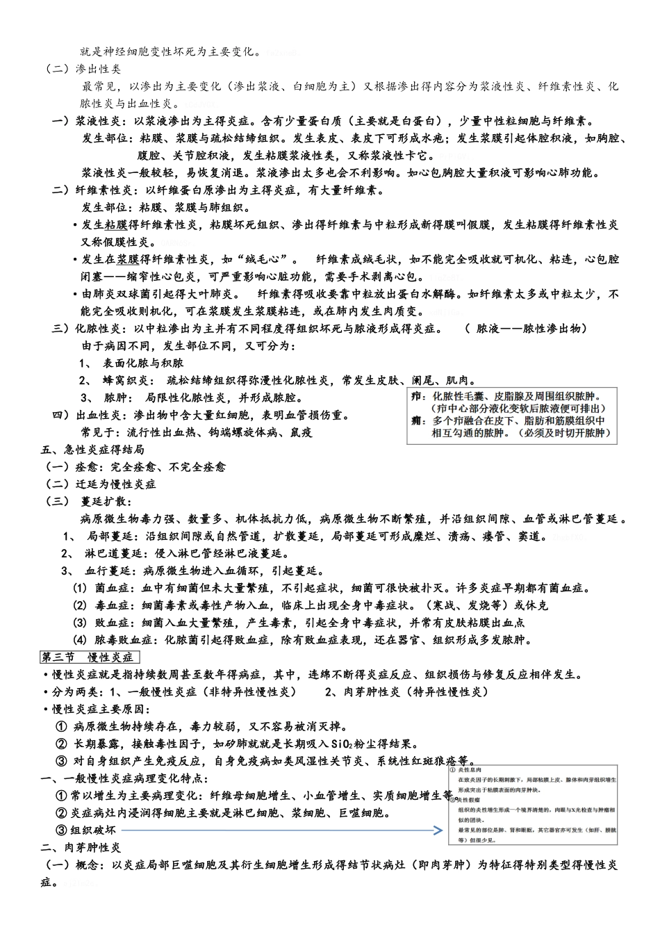 病理学第四章炎症_第3页