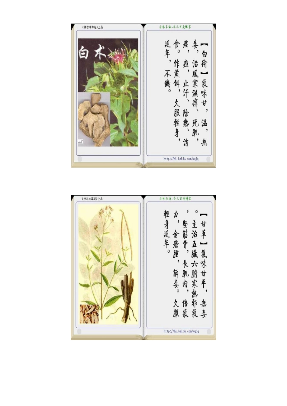 百种常见名草药、中草药介绍_第2页