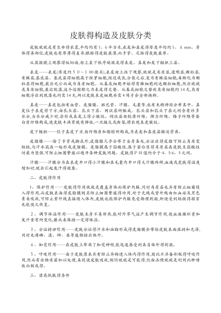 皮肤的构造及皮肤分类