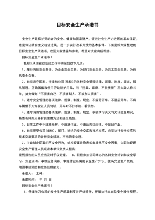 目标安全生产承诺书