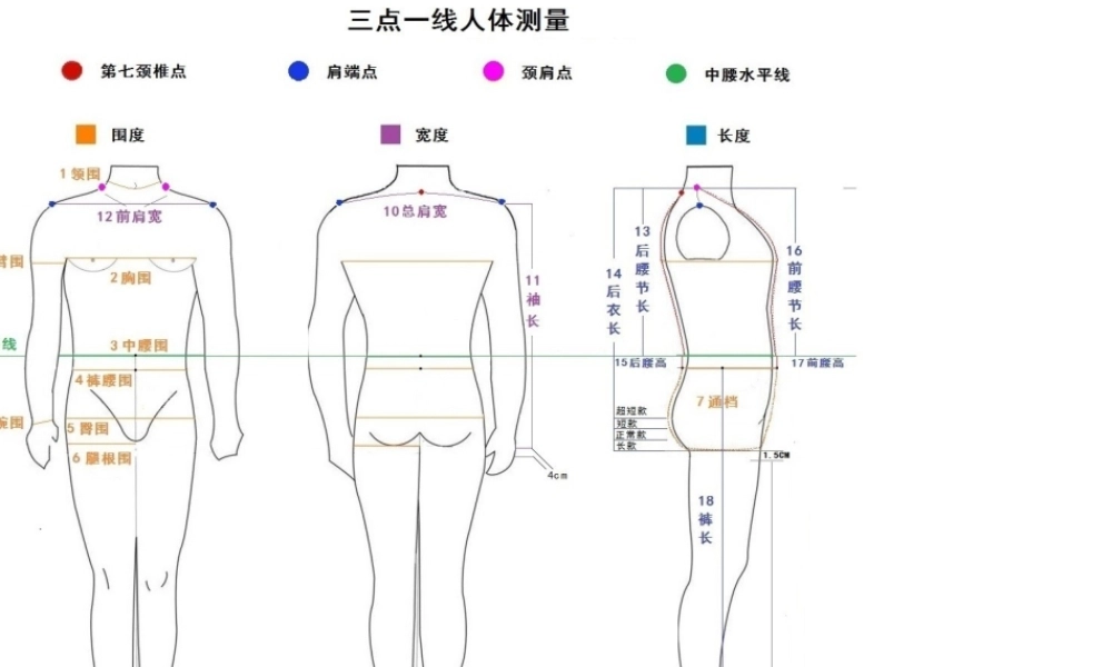 着装顾问量体规范专题培训课件