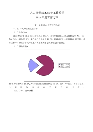 知名企业人力资源规划及总结