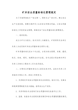 矿井安全质量标准化管理规定