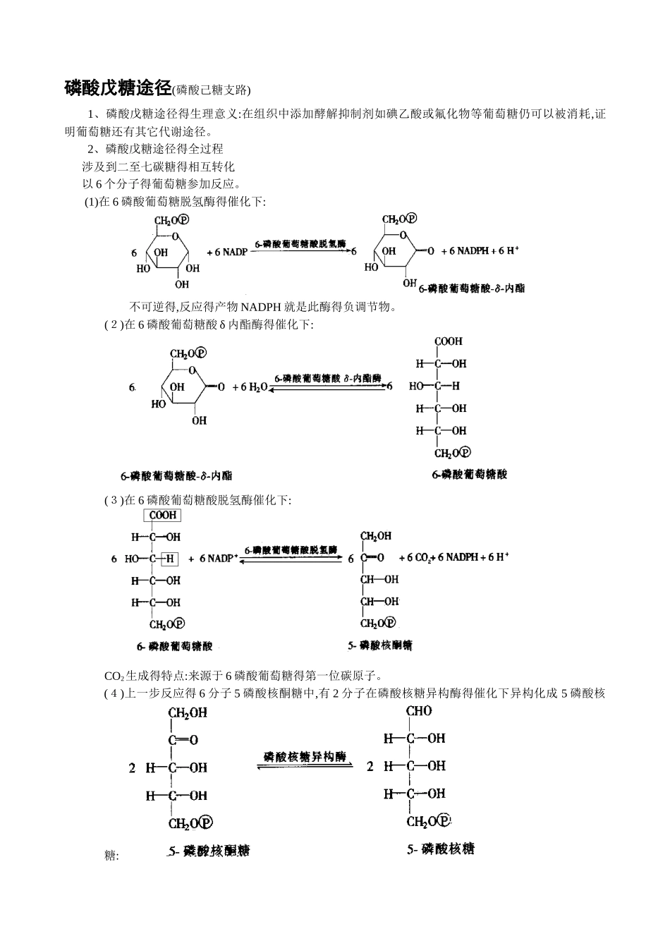 磷酸戊糖途径_第1页