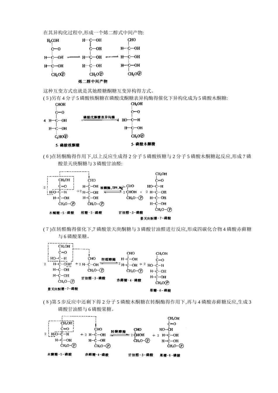 磷酸戊糖途径_第2页