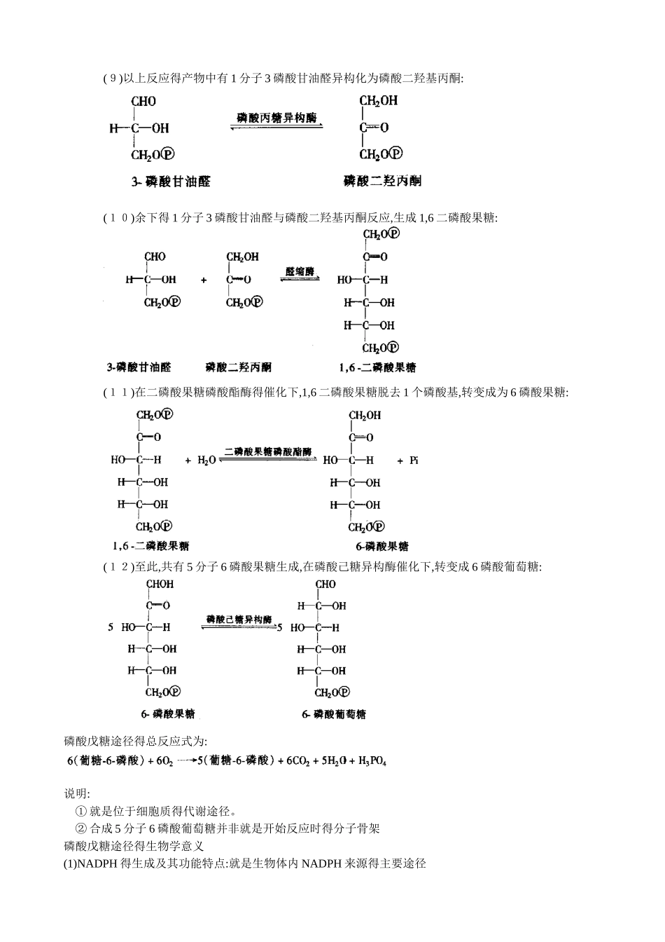 磷酸戊糖途径_第3页