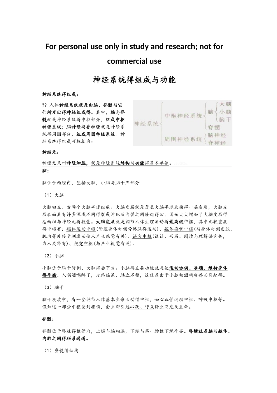 神经系统的组成和功能_第1页